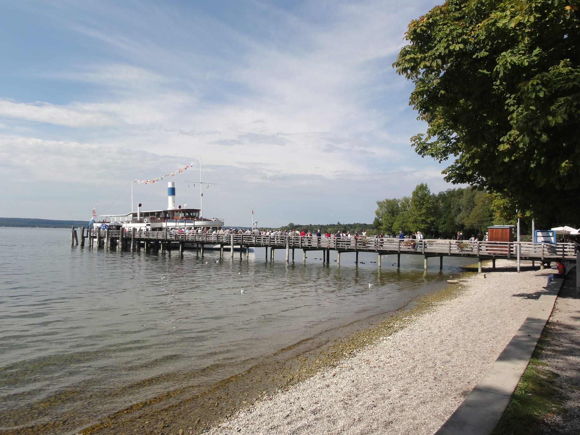 Panoramablick über den Ammersee mit bewaldetem Ufer und Alpenkette am Horizont