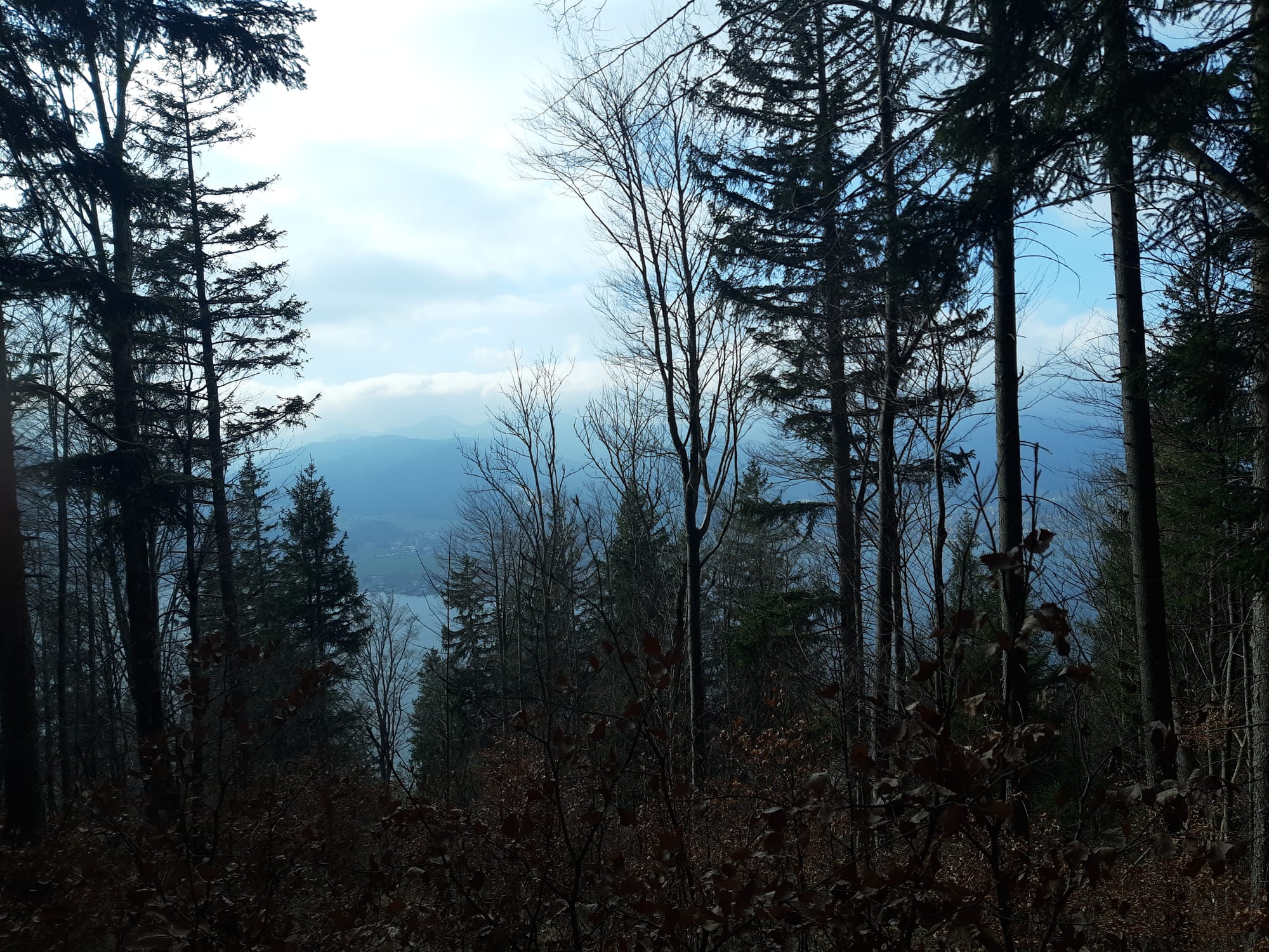 See-Impression vom Tegernsee vor dem Alpenpanorama